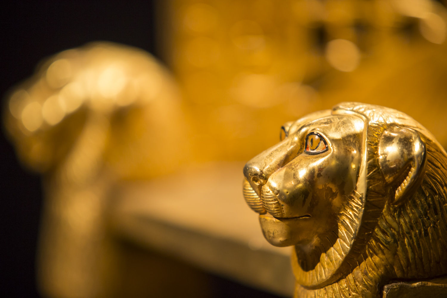 The Discovery of King Tut